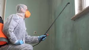 Best Emergency Mold Remediation  in San Francisco, CA